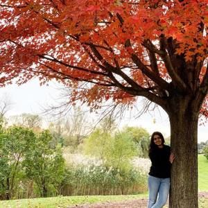 Meet your Posher, Darshi